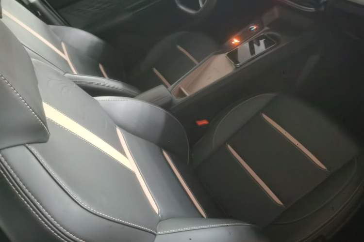 Used SOL E10X 2022 Flower Fairy Design Four-Leaf Clover