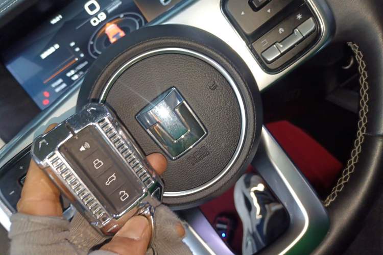 Used Tank 300 2024 2.0T Conqueror