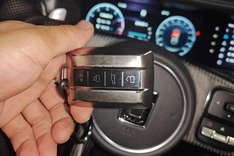 Used Tank 300 2021 2.0T Wind & Forest Iron Rider