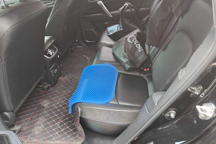 Used Honda Avancier 2017 240TURBO Two-Wheel Drive Comfort Version Left Rear Seat