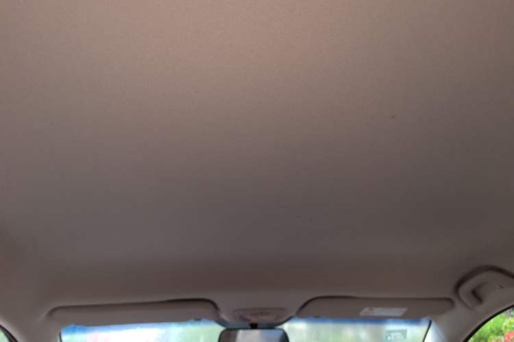 Used Baojun 560 2016 1.8L iAMT Elite Edition Headliner