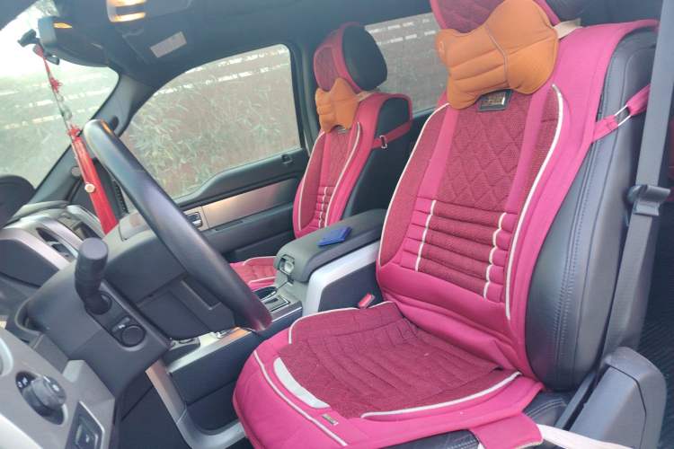 Used Ford F-150 Raptor 
