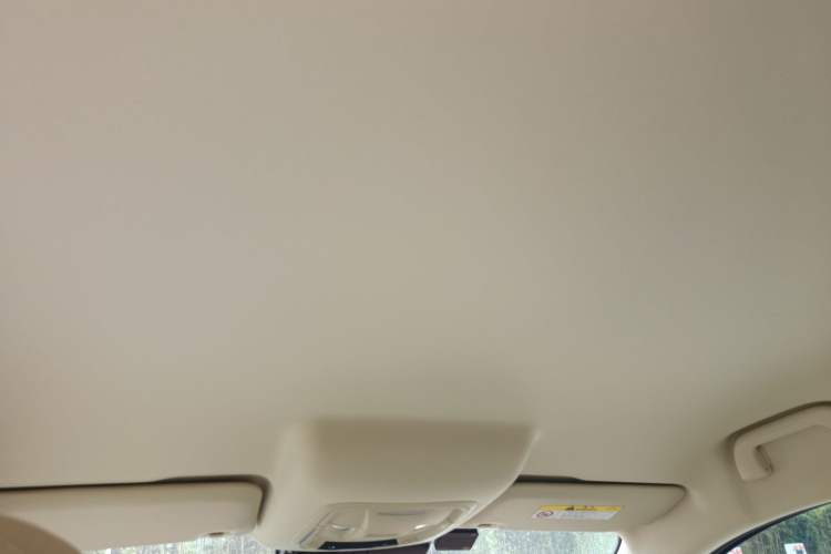 Used ORA Good Cat 2023 401 km Standard Range Luxury Version Lithium Iron Phosphate
