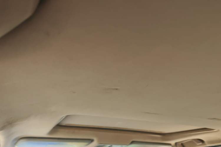 Used FORTHING Joyear X3 2015 1.5L Deluxe Model
