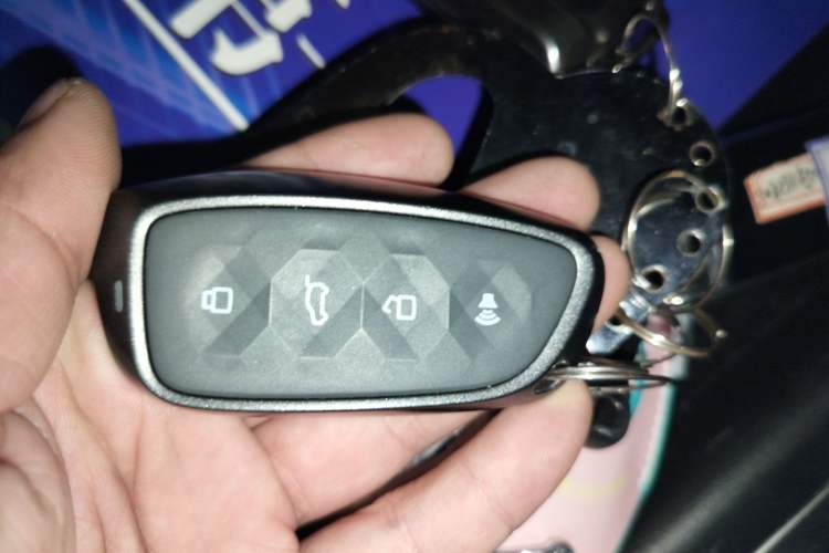 Used Haval H9 2024 2.0T Gasoline All-Wheel-Drive Extreme Edition