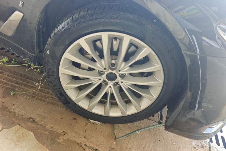 Used BMW 5 Series New Energy 2019 530Le Luxury Package
