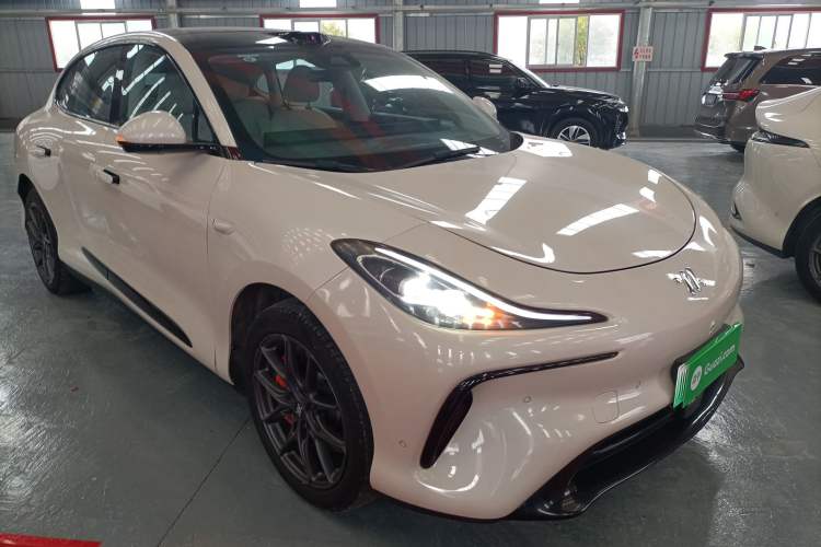 Used IM LS6 2023 Max Standard Edition
