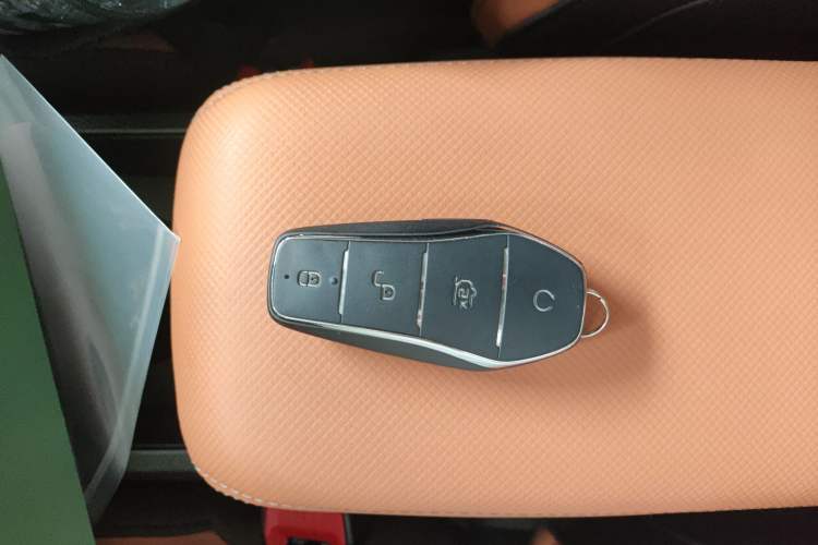 Used BYD e2 2021 Luxury Model
