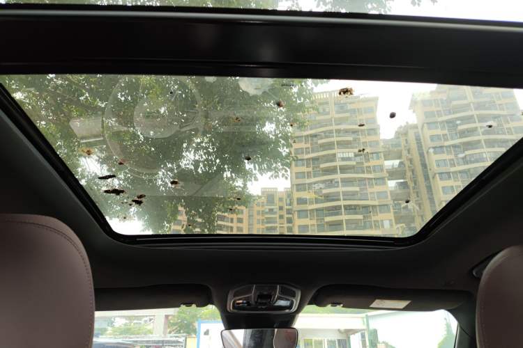 Used Geely Auto Monjaro L 2024 2.0TD High-Power Automatic Two-Wheel Drive Yunqi Version Headliner