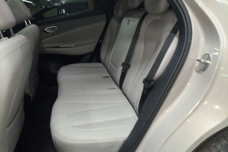 Used BYD Sealion 06 New Energy 2025 Model DM-i 170 Navigation Pro Edition Left Rear Seat