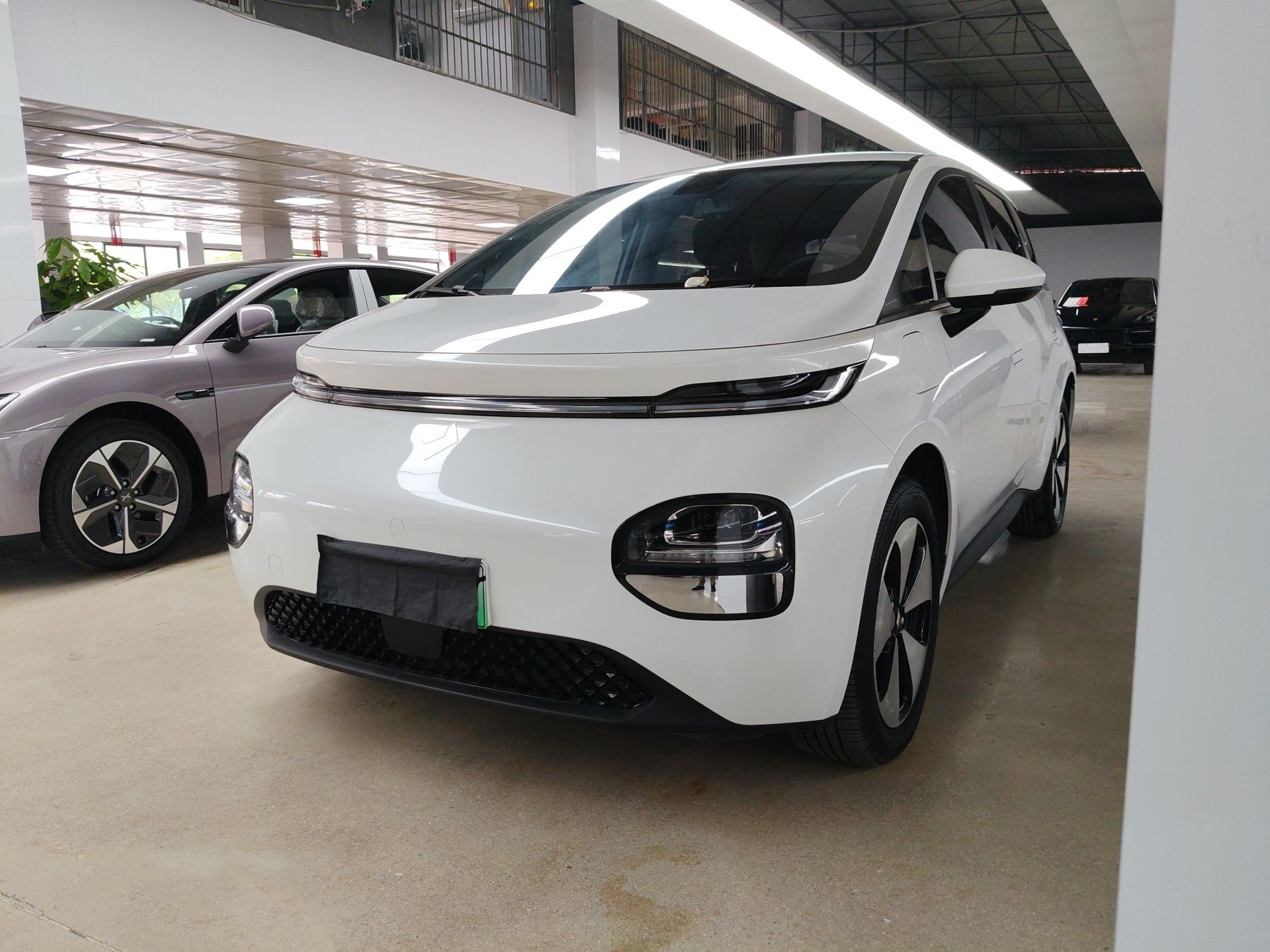 Parte inferior delantera