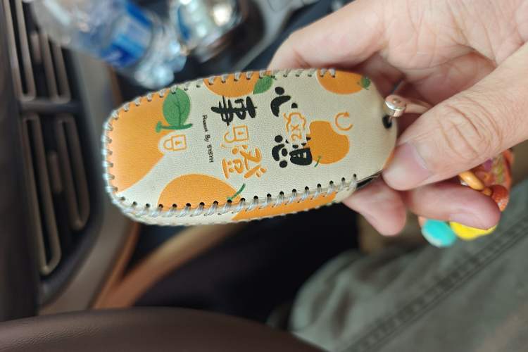 Used Denza D9 2022 DM-i 1040 Prestige Model
