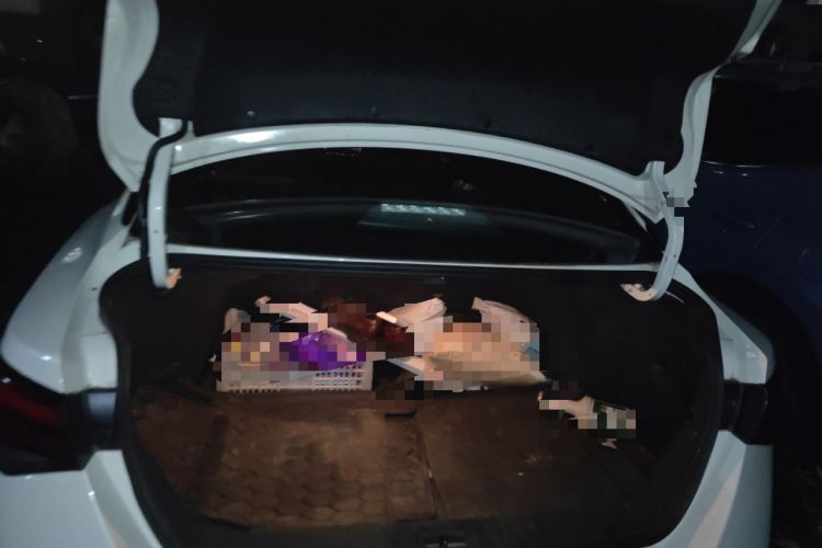 Used Nissan Sylphy 2022 1.6L XL CVT Enjoyment Edition Trunk