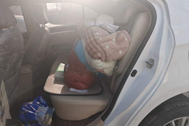 Used Great Wall C30 New Energy 2018 EV Upgraded Enjoyment Model Left Rear Seat