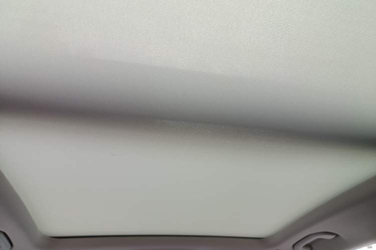 Used Mercedes-Benz GLS 2020 GLS 450 4MATIC Dynamic Edition Headliner