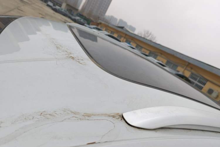 Used Audi Q4 e-tron 2023 40 e-tron Adventure Edition