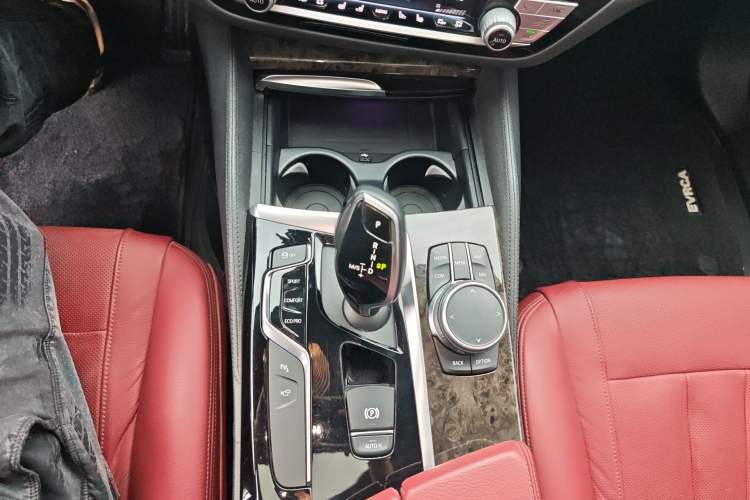 Used BMW 5 Series 2020 530Li Luxury Edition M Sport Package
