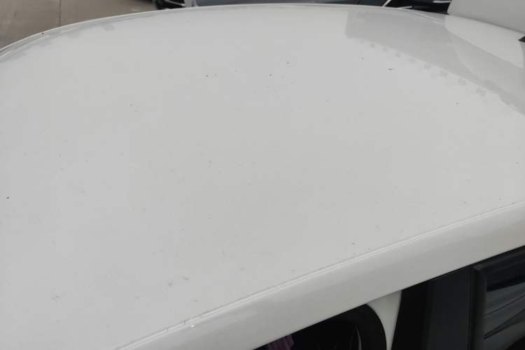 Used Volkswagen Polo 2018 1.5L Automatic Advanced Driving Model Roof