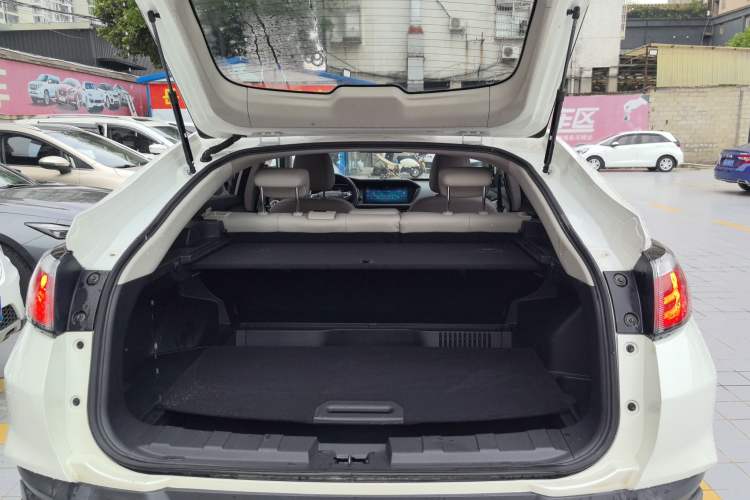 Used Venucia T90 2018 2.0L CVT Smart Connect Luxury Edition China V Standard
