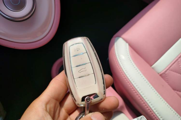 Used ORA Black Cat 2022 351 km Range Comfort Version Ternary Lithium Vehicle Key