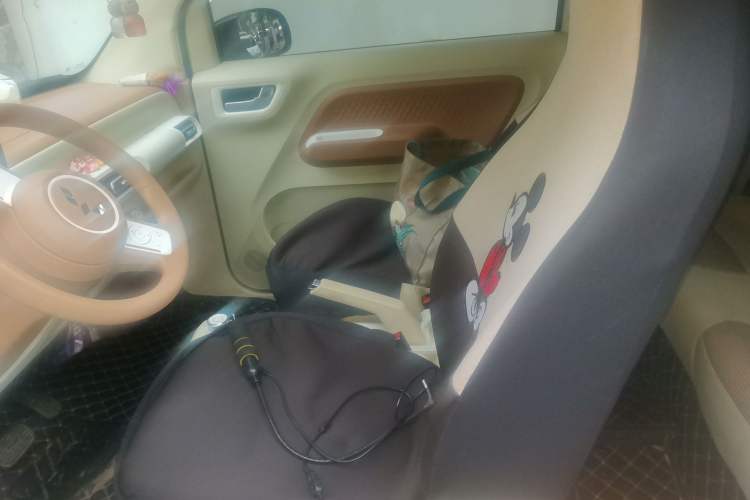 Used Wuling Hongguang MINIEV 2024 3rd Generation 215km Youth Edition Left Front Seat