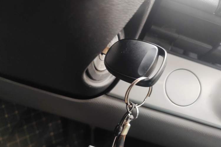 Used Qiyuan Lumin 2023 205km Xiangqin Version
