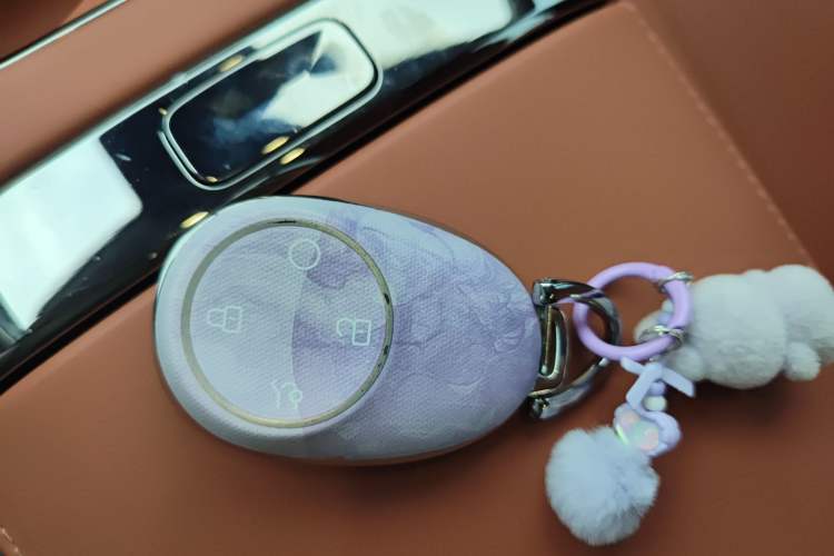 Used AION RT 2025 650 LiDAR Edition
