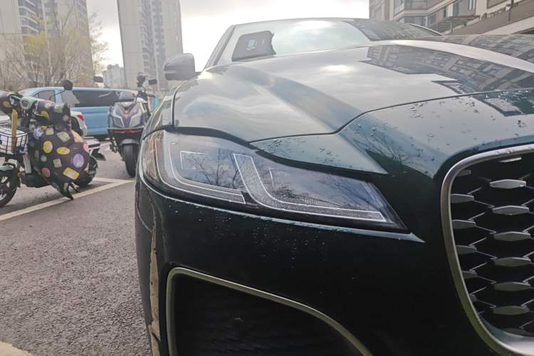 Used Jaguar XFL 2022 XFL 2.0T P250 Two-Wheel-Drive Prestige Luxury Edition
