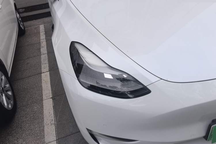 Used Tesla Model Y 2021 Standard Range Rear-Wheel Drive Version
