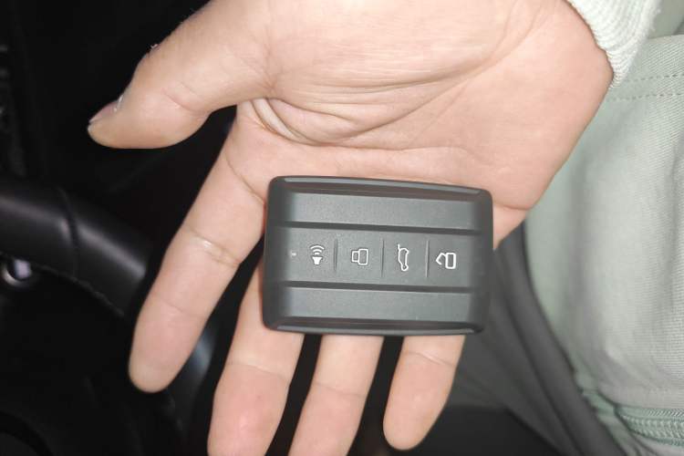 Used Tank 300 New Energy 2025 Hi4-T
