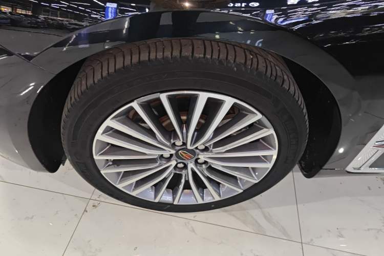 Used Hongqi H9 2020 2.0T Smart Connect Flagship Edition
