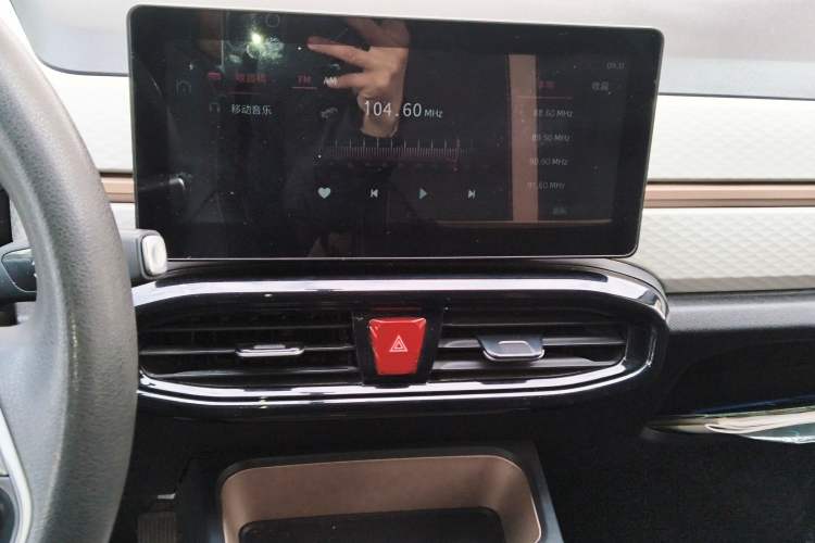 Used SOL E10X 2022 Flower Fairy Design Four-Leaf Clover