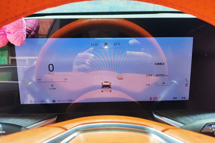 Used Wey Lanshan 2023 Four-Wheel Drive Ultra-Long Range Version
