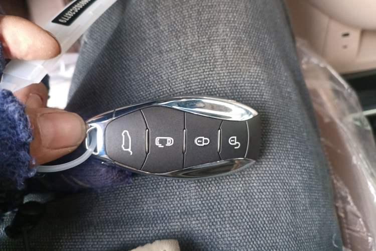 Used Hongqi HQ9 2024 2.0T Business Edition