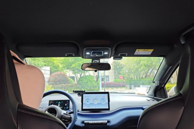 Used BYD Seagull 2023 Flying Edition Headliner