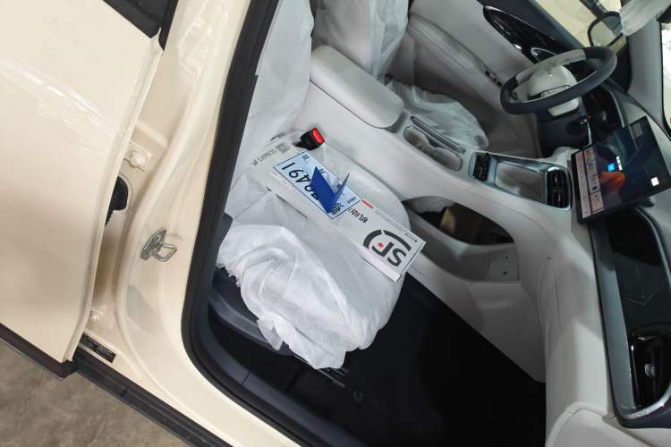 Used Geely Galaxy Geome 2026 Model 310km Dream Edition Right Front Seat