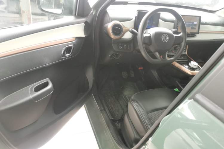 Used Dongfeng NAMMI EX1 2023 PRO Light Wind Edition Lightning Model