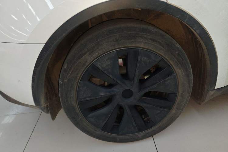 Used Tesla Model Y 2024 Rear-Wheel-Drive Version Exterior 5