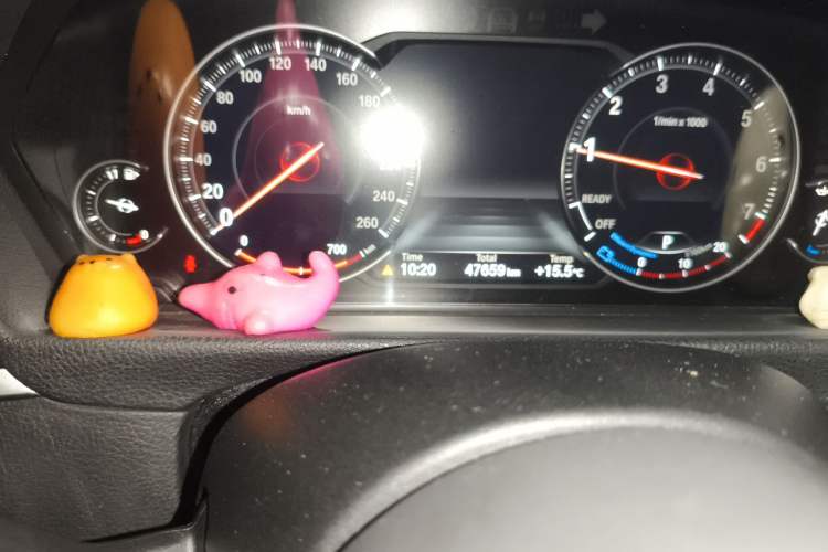 Used BMW 3 Series 2019 320Li M Sport Package Odometer Close Up