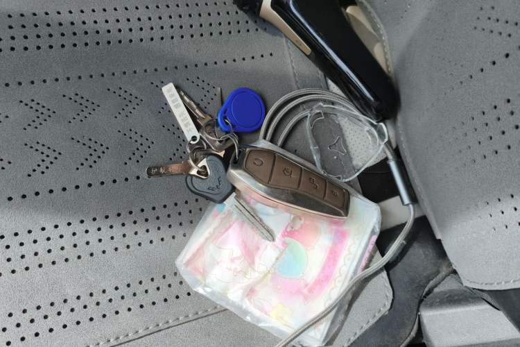 Used BYD Destroyer 05 2024 HONOR Edition DM-i 55KM Luxury Model Vehicle Key