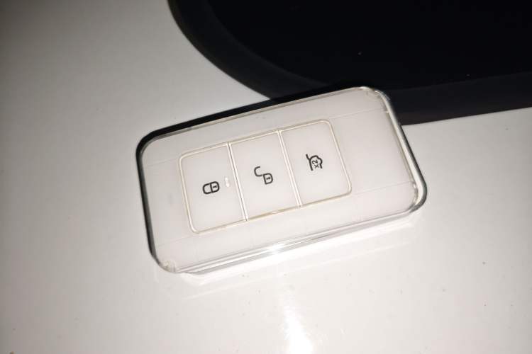 Used BYD Qin New Energy 2017 1.5T Luxury Model