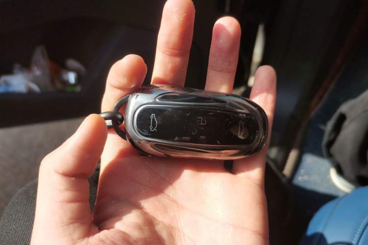 Used Tesla Model X 2017 X 100D Long Range Edition