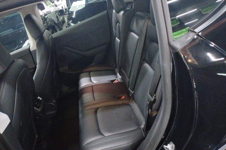 Used Tesla Model Y 2021 Standard Range Rear-Wheel Drive Version Left Rear Seat