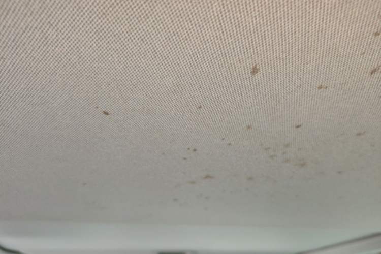 Used Toyota Camry 2015 2.0G Premier Edition Headliner