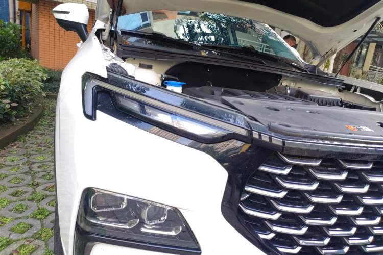 Used Ford Equator Sport 2022 EcoBoost 170 Platinum Edition
