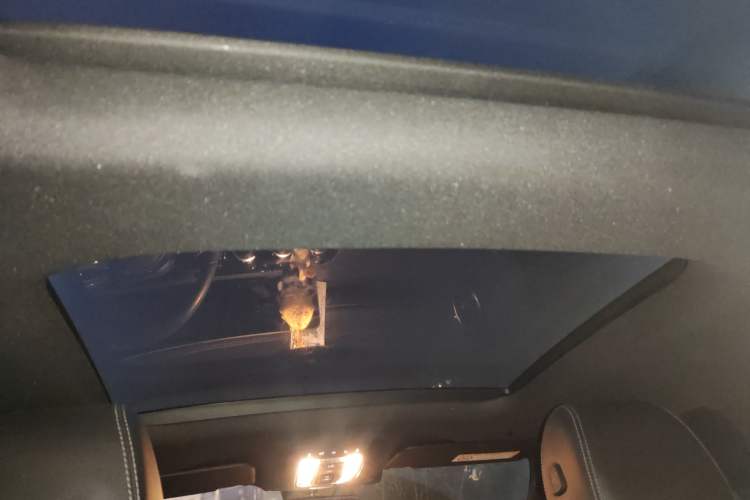 Used Mercedes-Benz A-Class 2019 Restyled A 200 L Sport Sedan