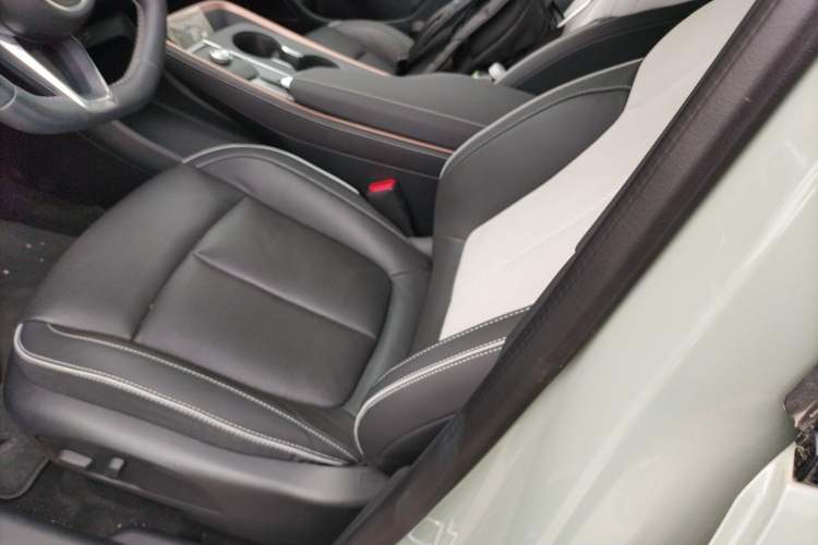 Used Buick E4 2023 GS Edition