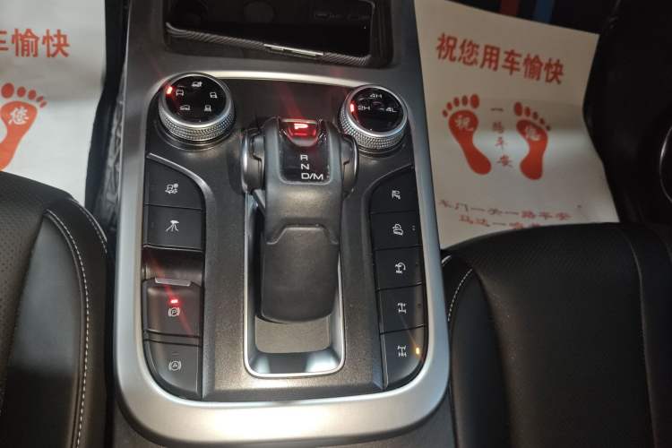 Used Tank 300 2024 2.0T Conqueror