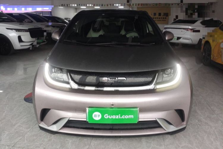 Used BYD Dolphin 2021 405 km Fashion Edition Front