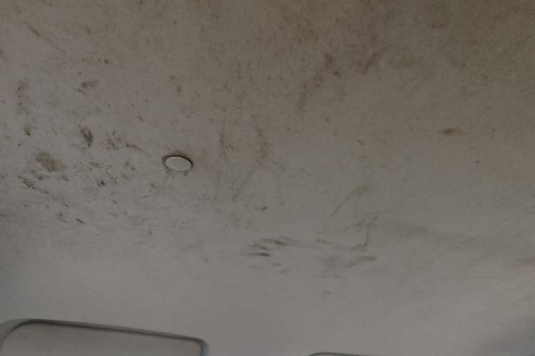 Used Dongfeng Fengon 330 2016 1.2L Manual Base Version DK12-07 Headliner